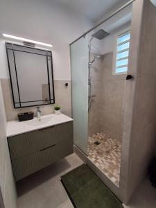 a bathroom with a sink and a shower with a mirror at L'écrin de Saint-pierre - Sunset & Sea View in Saint-Pierre +11 photos