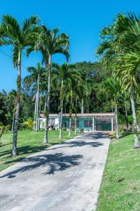 a road with palm trees in front of a building at Comfortable & Spacious Mountain Home in Utuado in Cayuco