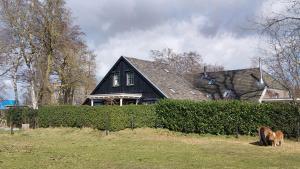 a black house with a horse grazing in front of it at Ruime Vakantiewoning - Hoeve Niets meer - met eigen privé terras en tuin in Balkbrug
