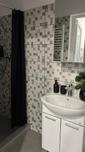 a bathroom with a sink and a shower at Studio Yas Central Arad in Arad +15 photos