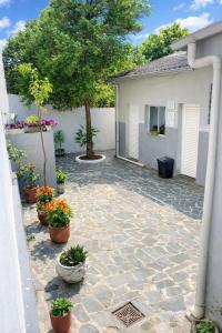 a courtyard with potted plants in front of a house at Pousada ExpoBH in Belo Horizonte