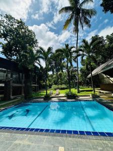 a large swimming pool with palm trees in the background at Airport Heritege in Negombo