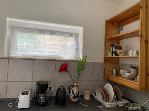 a kitchen counter with a vase with a flower on it at Brakel Monteure Ferienwohnung 1 in Brakel