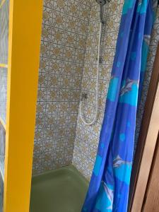 a shower with a blue curtain and a tub at Brakel Monteure Ferienwohnung 1 in Brakel +9 photos