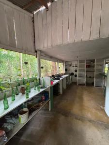 a large room with a lot of green vases on shelves at A Casa Da Ilha Cotijuba in Belém