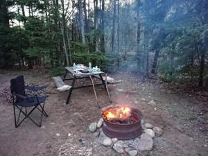 eine Feuerstelle und ein Picknicktisch im Wald in der Unterkunft Glenview Cottages in Sault Ste. Marie