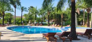 a swimming pool with chairs and palm trees at Belle maison dans résidence avec piscine in Cap Skirring
