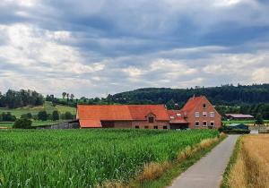 a house in the middle of a field next to a road at Hof Gottesbüren in Warburg