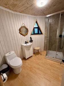 a bathroom with a toilet and a shower and a sink at Domo Siempre verde in Puerto Tranquilo