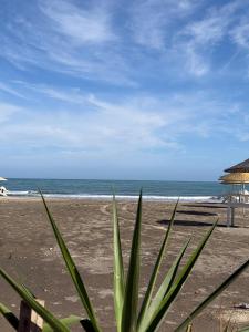 a beach with an umbrella and the ocean at Apparemment à Radisson Blu Apartment Alhoceima Beach Access in Al Hoceïma