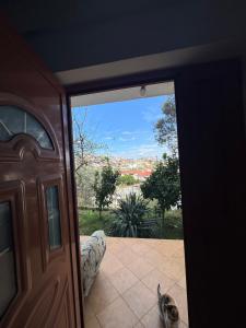 a cat sitting on the floor next to a door at Kapllani Guest House in Durrës
