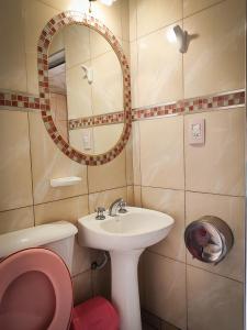 a bathroom with a pink toilet and a sink at Hostel Copacabana La Quiaca in La Quiaca