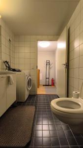a bathroom with a toilet and a sink in it at Møllergata apartment in Oslo +35 photos