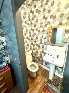 a small bathroom with a toilet and a sink at blackpool central lodge And Rooms in Blackpool
