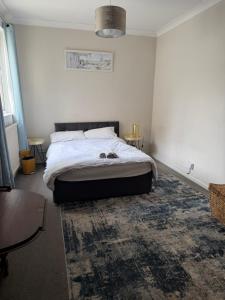 a bedroom with a bed and a rug at Cobble retreat high street in Hastings