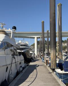 a dock with several boats docked in a marina at HouseBoat on the river-DouroHeritage in Porto