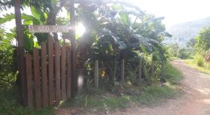 a wooden fence next to a dirt road with trees at El Nido Bayview in El Nido +3 photos