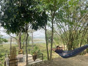 a man laying in a hammock in a tree at Jungle Nirvana Retreat in Meghauli +5 photos