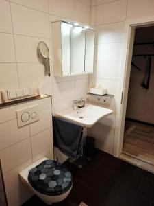 a bathroom with a sink and a toilet and a mirror at Ruhe Oase mit Gartenblick in Büren +8 photos