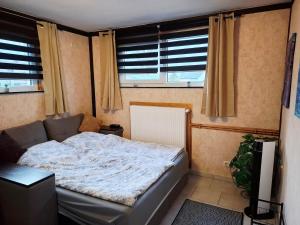 a bedroom with a bed in a room with windows at Ruhe Oase mit Gartenblick in Büren