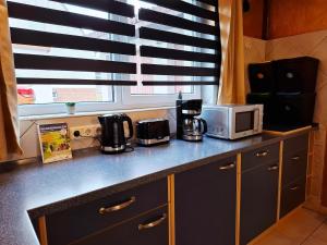 a kitchen with a counter top with a microwave at Ruhe Oase mit Gartenblick in Büren