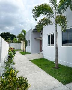 a palm tree in front of a white house at Oasis House 2 in Tocumen
