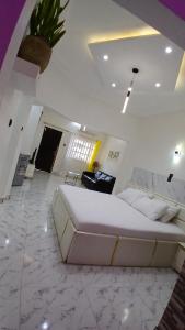 a bedroom with a large bed in a room at Studio de luxe avec jacuzzi in Porto-Novo