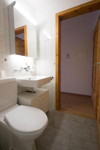 ein Bad mit einem WC und einem Waschbecken in der Unterkunft Chesa Surlej Apartment in Surlej