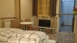 Μια τηλεόραση ή/και κέντρο ψυχαγωγίας στο Downtown Skadarlija