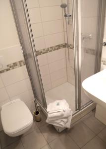 a bathroom with a shower and a toilet and a sink at Stadtvilla Rosengasse 7 in Meißen +17 photos