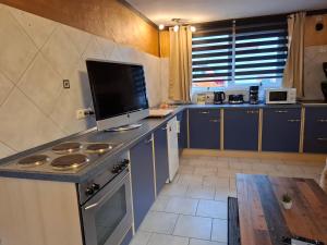 a kitchen with blue cabinets and a stove top oven at Ruhe Oase mit Gartenblick in Büren