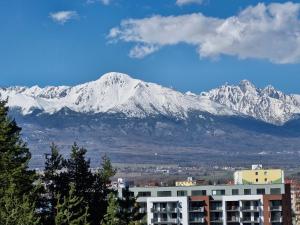 a snow covered mountain in front of a building at Apt 415 Svit in Jezersko