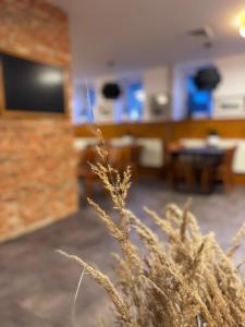 a blurry picture of a living room with a couch at Penzion Janoštík in Rožnov pod Radhoštěm