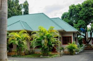 a house with a green roof and palm trees at Pakihotels&apartment in Moshi