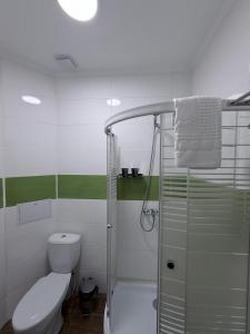 a white bathroom with a toilet and a shower at Orion Hotel in Almaty