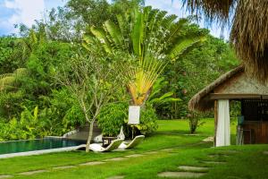 a garden with a palm tree and a swimming pool at Mudita Glamping and Villas Tarlac in Mababanaba