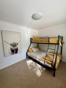 a bedroom with two bunk beds and a picture of a cow at Peppertree in Smiths Lake