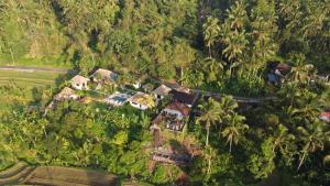 an aerial view of a house in a forest at The Kubu Sidemen in Silebeng