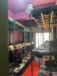 a group of bunk beds in a room at City walk dormitory in Bangalore