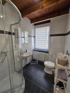 a bathroom with a shower sink and a toilet at Auszeit Tor zur Eifel in Euskirchen +23 photos