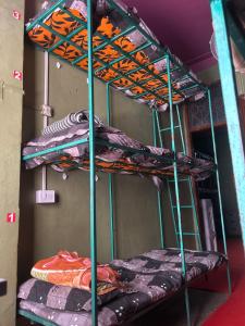 a couple of bunk beds in a room at City walk dormitory in Bangalore +3 photos