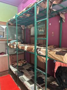 two bunk beds in a room with purple walls at City walk dormitory in Bangalore