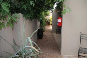 a fire hydrant is next to a wall with plants at Olive Tree B&B in Upington