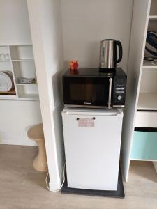 a microwave sitting on top of a refrigerator at Chambre privée Orthez in Orthez