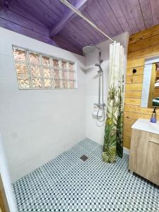 a bathroom with a shower and a sink in a room at Can Cospito in Osor