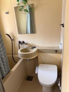 a small bathroom with a toilet and a sink at AppleHouse高瀬駅 in Mitoyo