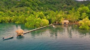 an aerial view of an island in a lake at joe Dive resort in Pulau Lembeh