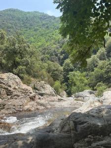 a river with rocks and trees in the background at Can Cospito in Osor +4 photos