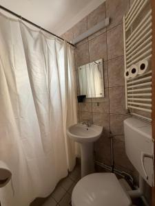 a bathroom with a white toilet and a sink at Pensiune Supca in Râmnicu Vâlcea