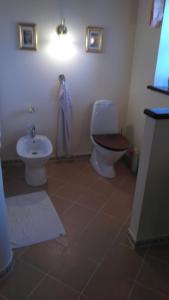 a bathroom with a toilet and a sink at Romantik og idyl in Dybvad